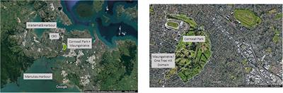 Urban Foodscapes and Greenspace Design: Integrating Grazing Landscapes Within Multi-Use Urban Parks